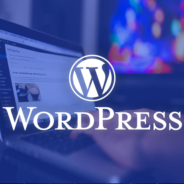 WordPress Expert